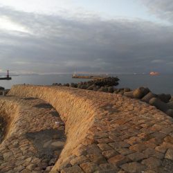 高砂港にキスの引き釣り