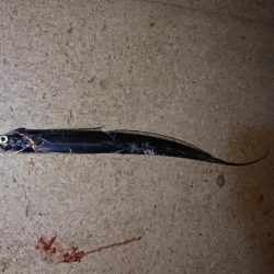 最後の最後に穴子！