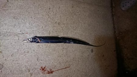 最後の最後に穴子！