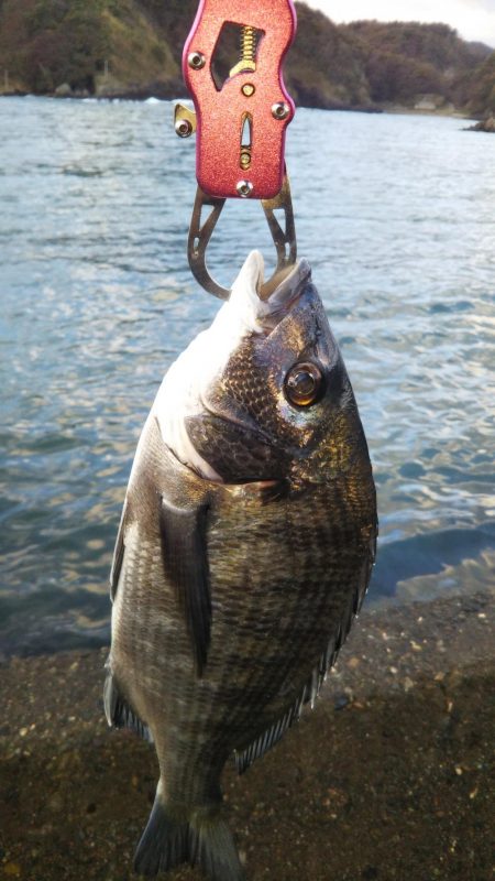 また小物釣り