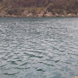 ふかせアジ釣り