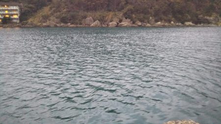 ふかせアジ釣り