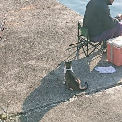 久しぶりの海南