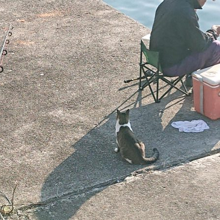 久しぶりの海南