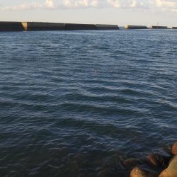 やや強い風、波少し荒れ気味、釣果2匹