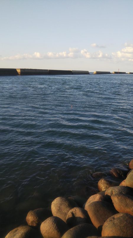 やや強い風、波少し荒れ気味、釣果2匹