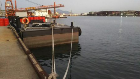 【若松洞海湾】シーバス調査