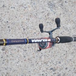 タチウオ最盛期