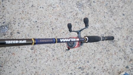 タチウオ最盛期