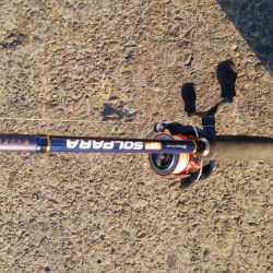 今日もサクッとアジング