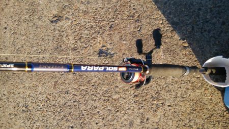 今日もサクッとアジング