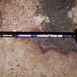 タチウオ今日はよかった