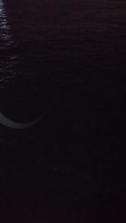 超短時間タチウオ釣行