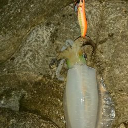 久しぶりの500オーバー