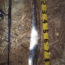 ぶらシーバス！！