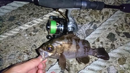 念願のメバリング!