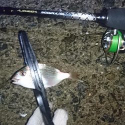 もはやガシリング。