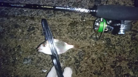 もはやガシリング。