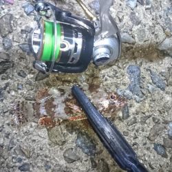 渋い！何とか一匹！