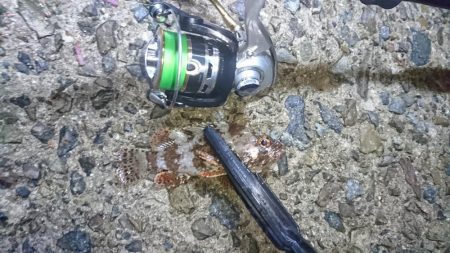 渋い！何とか一匹！