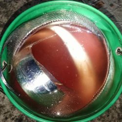 だんだん寒くなってきましたが