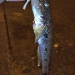 短時間ライトゲーム