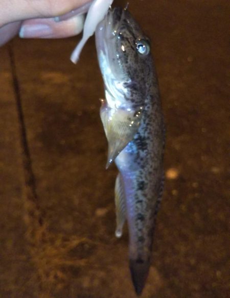 短時間ライトゲーム