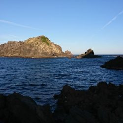 初ロックフィッシュでビギナーズラック！