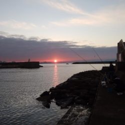 江井ヶ島海岸へ落ちギス狙い