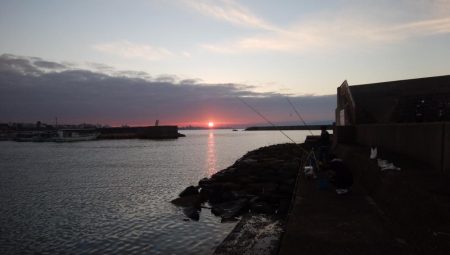江井ヶ島海岸へ落ちギス狙い