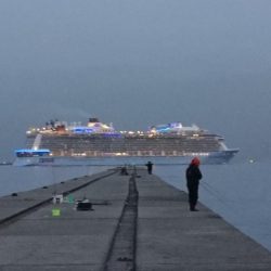 ウグイ飲ませでガシラのみ、サビキでもアジ釣れず貧果