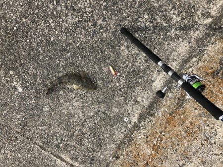 ショアジギング