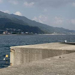 淡路島へビッグブルーを求めて