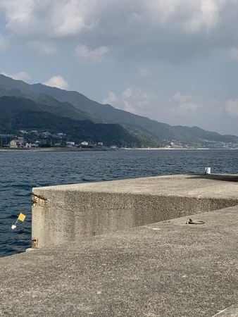 淡路島へビッグブルーを求めて