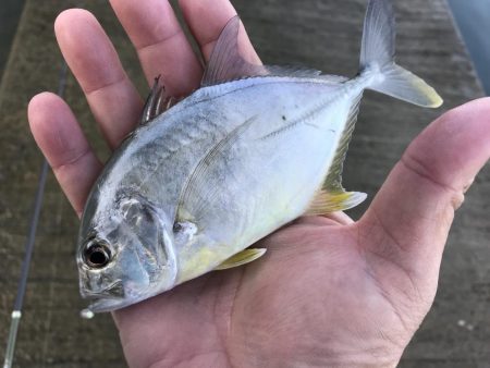 帰ってきたメッキ