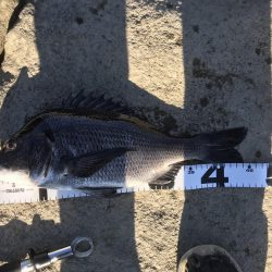 イチノ兄弟、釣果！