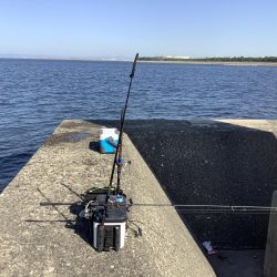 当たりは夜明けから