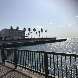 カレイ釣りにい紅葉