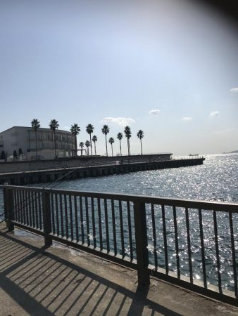 カレイ釣りにい紅葉