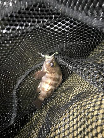 厳しいですね〜