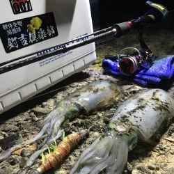 しぶとくナイトエギング