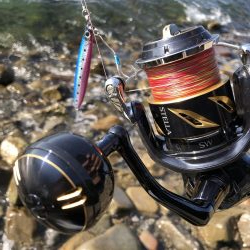 久しぶりの青物！