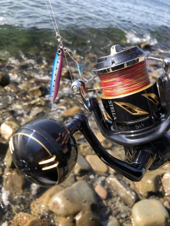 久しぶりの青物！