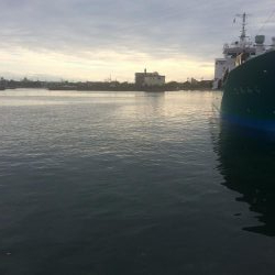 ヒイカ2 激シブ