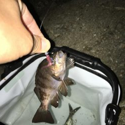 ライトゲームでいろいろ