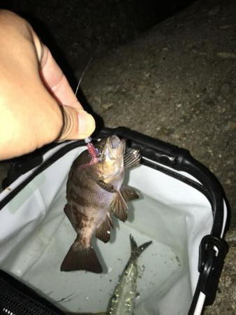 ライトゲームでいろいろ