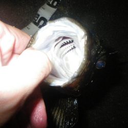 マイベスト更新