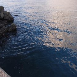 久しぶりの釣果