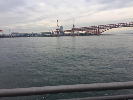 ハマチにタチウオ