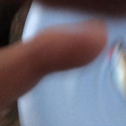 メバル～～～！